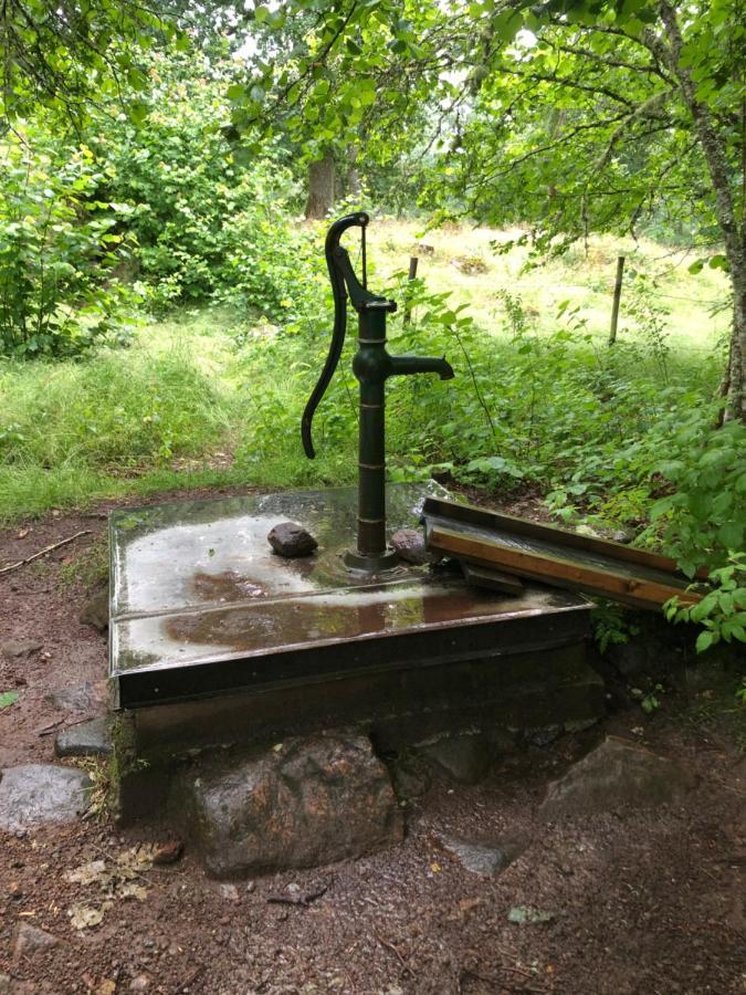 Vandrarhem Svaenoe Hillerstorp Zewnętrze zdjęcie